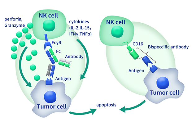 pages-276107b8ac7c397