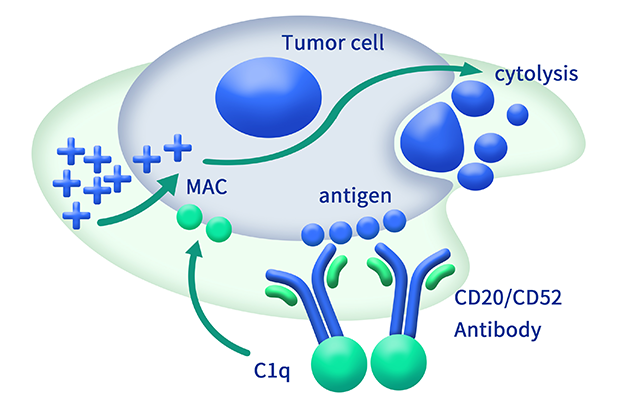 pages-646107b8a05b631