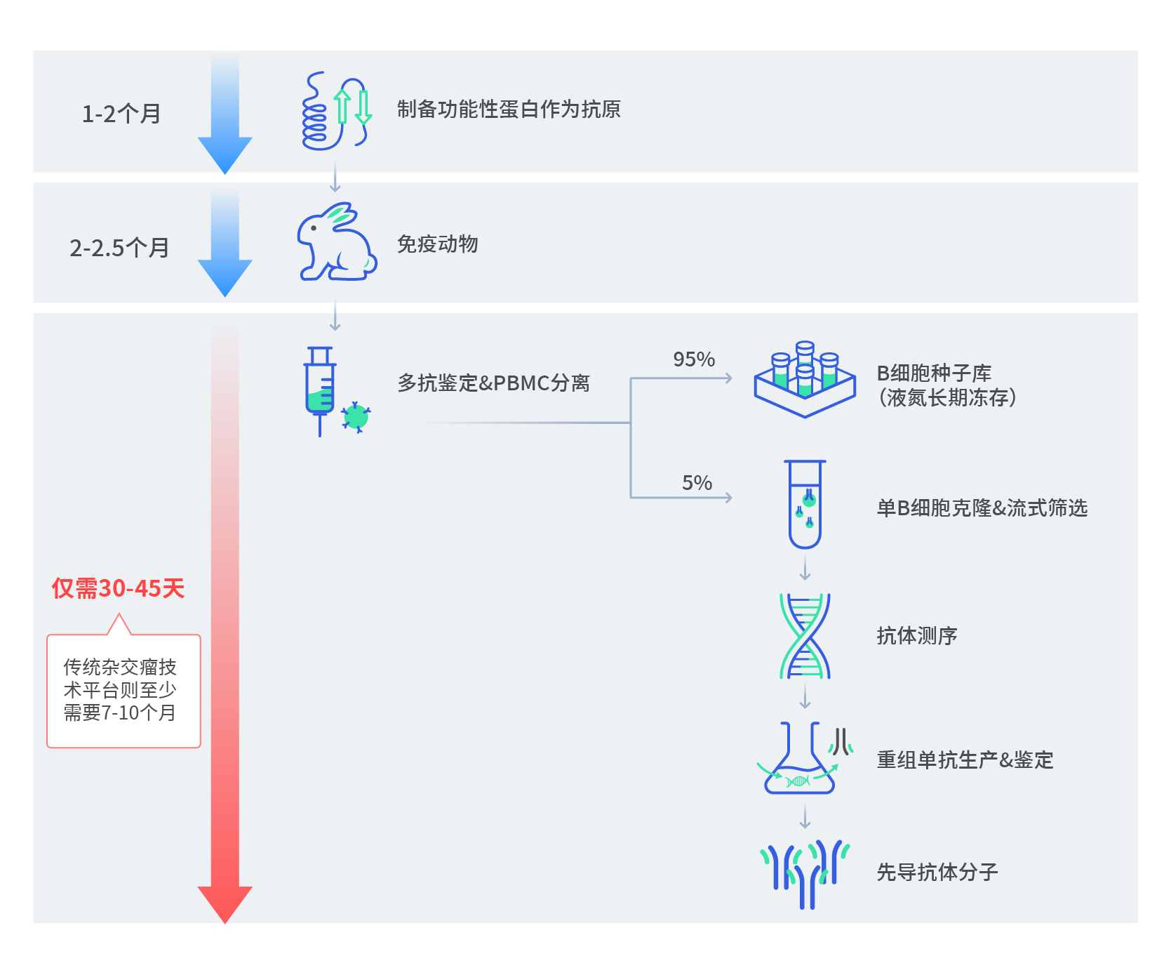 pages-先导分子概述网页图片2 01