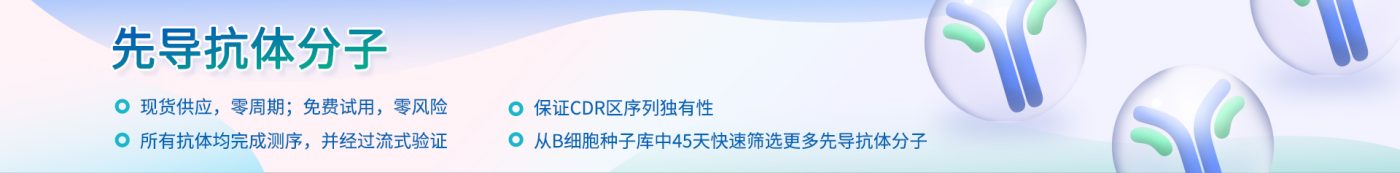 pages-先导分子概述网页广告